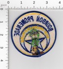 Bourbon Promenade    New Orleans Louisiana Collectible Police Embroidered Patch