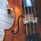 12-pack Universal Violin Strings 4 4 Full Set  Steel Core With Nickel Ball End