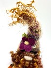 Folk Art Needle Felted Gnome Ooak Autumn Decor Sweet Cottage Design Fall Acorn