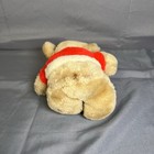 Vintage Eden Wind-up Musical Santa Teddy Bear Plush Haiti 1980s  music Works 