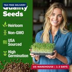 Home Grown Broccoli Seeds 8 Oz Bulk Heirloom Non-gmo  High Germination  Sulforap