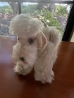 Vintage Steiff Mohair Snobby Poodle Jointed 5    With Button Dog Creme Toy