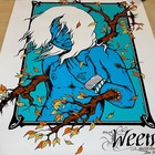 Ween Concert Poster Jermaine Rogers 11 10 07   Warfield Nature Childen Boognish