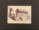 Skye Terrier Matted   Framed   Ready To Gift - 1986 Vintage Dog Art Print