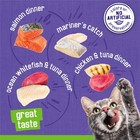 Purina Friskies Pate Wet Cat Food Variety Pack Seafood And Chicken Pack Of 40