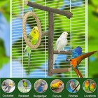 Bird Branch Perch Swing Toys  Natural Wood Parrot Cage Accessories For Parake   