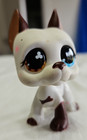 Littles Pet Shop  lps   577 Great Dane 1 Brown   1 Blue Eye White   Brown Body