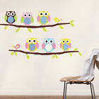 Owl Animal Nursery Kids  girl  boy  Wall Sticker Paper Decal Art Decor For Home