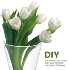 Circular Glass Wall Hanging Vase Bottle For Plant Flower Decor Clear