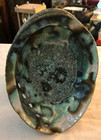 Natural Abalone Seashell 6 5  Long X 5 wide