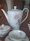 Rosenthal Vintage Germany Fine China Tea coffee 19 Pieces Bettina  Pink Pattern