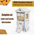 10x Upgraded Auto Honey Mini Beehive Bee Hive Frames   Beekeeping Brood Wood Box