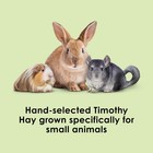 Kaytee Wafer Cut All Natural Timothy Hay For Pet Guinea Pigs Rabbits   Other