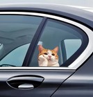    Cat Funny Sticker    2d Decal