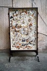 Victorian Taxidermy Butterfly-mounted Cheval Fire Screen C 1880  Ex Pitt Rivers