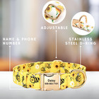 Custom Engraved Dog Collar     Soft Padded  Adjustable  Name   Phone Id