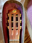 Very Rare 1930s Ss Maxwell Chicago Parlor Vintage Guitar  3 4