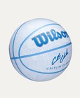 Caitin Clark Indiana Fever Wilson Envision Basketball Size 6  New Series 2025