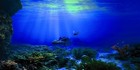 Aquarium Background Poster Seabed Wreck Hd Fish Tank Decorations Landscape