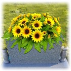 Headstone Flower Saddles Silk Realistic Yellow Grave Flowers For Cemetery Sun   
