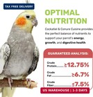 Cockatiel   Conure Food Cuisine 4 Lbs  Nutrient-rich Mixed Bird Seeds With Grain