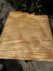 Curly Maple Veneer Sheets 23 5   x19 5   x1 16   