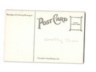 New Theatre Nyc Postcard Rare 1909-1911 Historic Broadway Divided Back