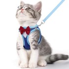 Cat Vest Harness And Leash Set For Walking Escape Proof  Adjustable Kitten 