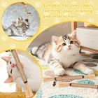 Natural Silvervine Sticks For Cats Kittens Teeth Cleaning  Catnip Chew Toys