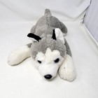 Fao Schwarz Husky Wolf Dog Blue Eyes Plush Soft Toy Stuffed Animal 15 