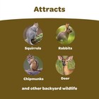 Kaytee Backyard Wildlife Food Blend For Wild Squirrels  Chipmunks  Rabbits And O