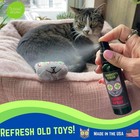 Catnip Spray   Dried Catnip Bundle For Cats - 2oz Premium Quality
