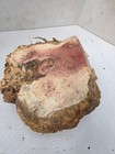008 8  Manzanita Burl Semi Raw Woodturning Bowl Blank Birdseye Curly Hardwood 
