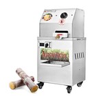 Electric Sugarcane Juicer Ginger Press Machine Juice Squeezer Extractor 661lbs h