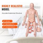 Male female Manikin Model Anatomical Nursing Training Patient Care Teach