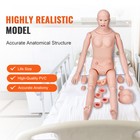 Uimoso Male female Manikin Model Anatomical Nursing Training Patient Care Teach