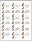 150 Chihuahua Dog Mailing Return Address Labels Personalized  1 X 2 5 8 In 