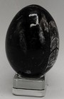 Moroccan Fossil Orthoceras Egg 62mm 186g     Black Marble Ancient Cephalopod  5