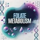 Folate Metabolism Dna Test    Mthfr C677t Gene    At Home Cheek Swab Testing Kit