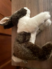 Webkinz Signature Dutch Bunny New With Sealed Code