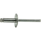 Large Flange Stainless Steel Pop Rivets Dome Head Blind Every Size And Length