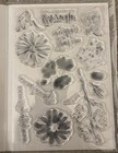 Stampin Up Retired Stamp Set Color   Contour 154994  new 