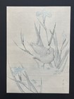 Keinen Imao    bird And Iris    Japanese Woodblock Print C  1910-1930s