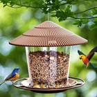 Squirrel-proof Hanging Bird Feeder For Outdoor Wild Bird Seed  Brown