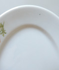 Santa Fe Railroad Dinnerware  California Poppy Syracuse China Oval Platter 9 5 