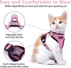 Cat And Dog Harnesses- Mesh Lightweight Adjustable- Pls Measure- No Refunds
