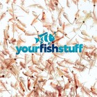 Brine Shrimp Eggs  artemia Cysts  Fresh Vacuum Sealed 425g Can Of 90  Hatch