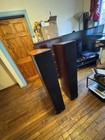 Polk A9 Floor-standing Pair  Good Conditions Local Pick Up Only