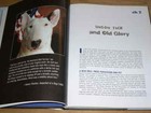 Rare Bull Terrier Dog Book  the Bully Breeds  By David Harris 1st 2008 In D w
