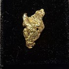 Swedish Gold Nugget     chicago Bull    Gold 23k   280g Museum Grade- Sweden